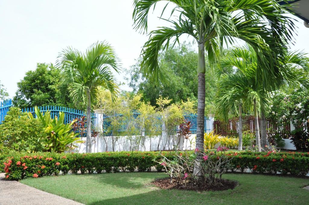 Olivia Resort Serviced Apartments And Bungalows Panglao Pokoj fotografie